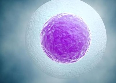 美国的三代试管婴儿医院哪家好？好医院排名！