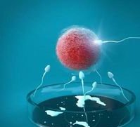 子宫内膜太厚能做试管婴儿吗？子宫内膜厚对试管婴儿有什么影响？