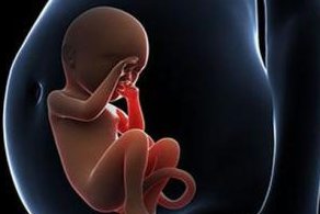 泸州第三代试管婴儿价格是多少钱，哪个医院可以做？